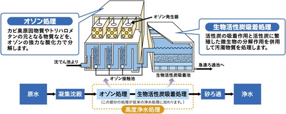 fig1